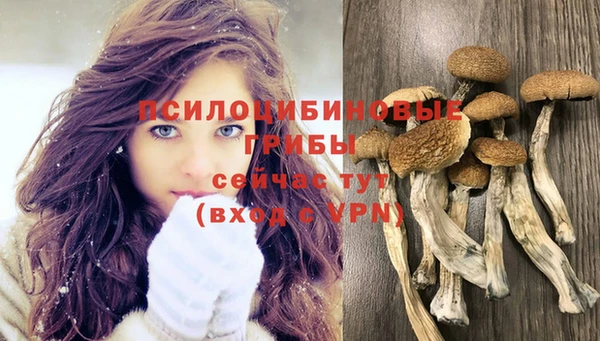 гашик Горнозаводск