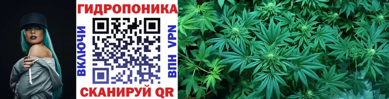 shop какой сайт Ершов Бошки марихуана OG Kush